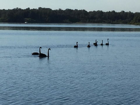 Swan Bay Hideaway - Accommodation Yamba 7