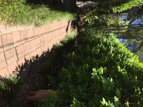 Swan Bay Hideaway - Accommodation Yamba 6