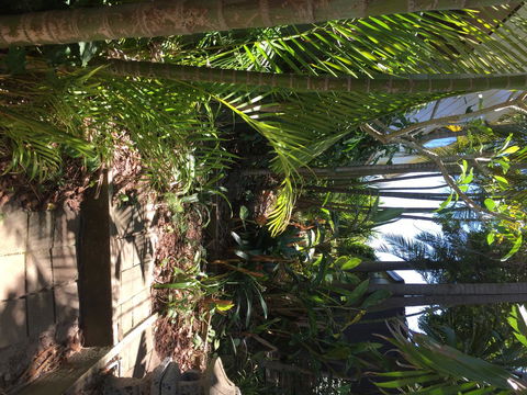 Swan Bay Hideaway - Accommodation Yamba 9