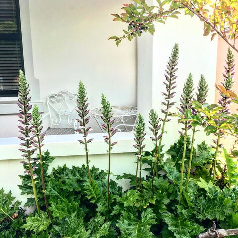 99 Hill Street Apartments - Accommodation Yamba 20