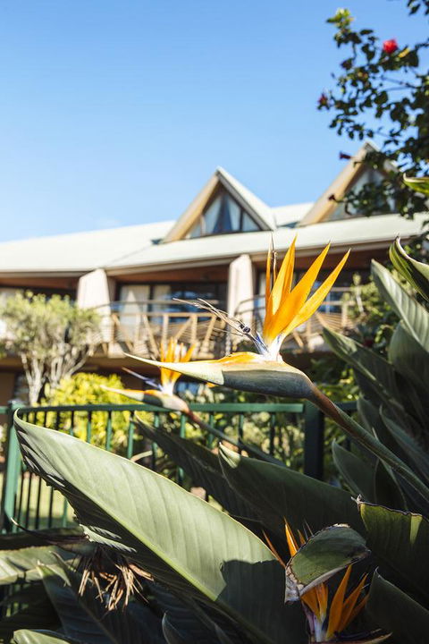 Beach Hotel Resort - Accommodation Yamba 36