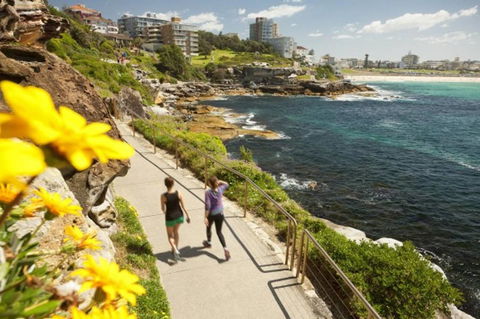 BONDI BEACH PRIME 1 Bedroom + Sunroom - Accommodation Yamba 16