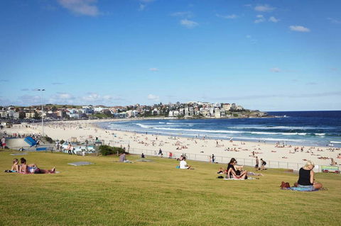 BONDI BEACH PRIME 1 Bedroom + Sunroom - Accommodation Yamba 11