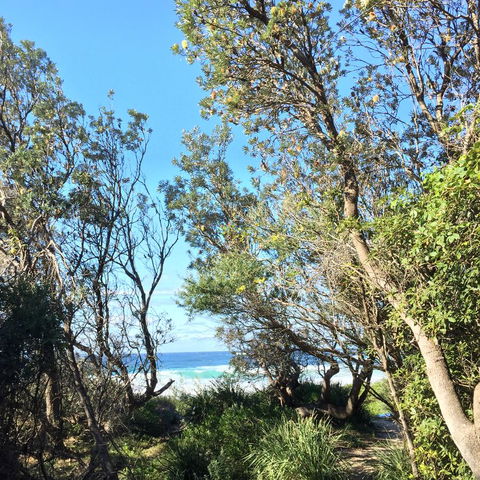 Salthouse Berrara - Accommodation Yamba 22