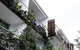 Bannisters By The Sea Mollymook - thumb 4