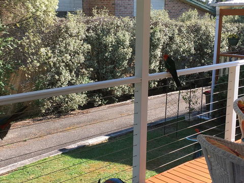 The Best Exotic Magnolia Cottage - Accommodation Yamba 15
