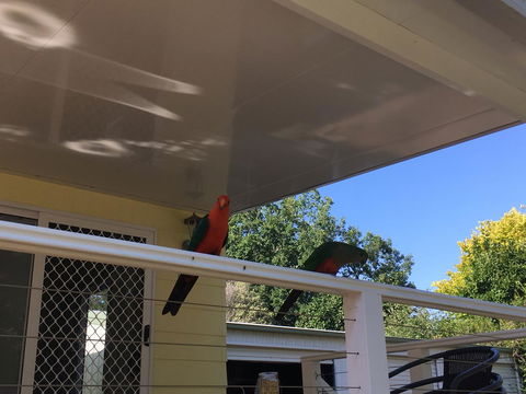 The Best Exotic Magnolia Cottage - Accommodation Yamba 11