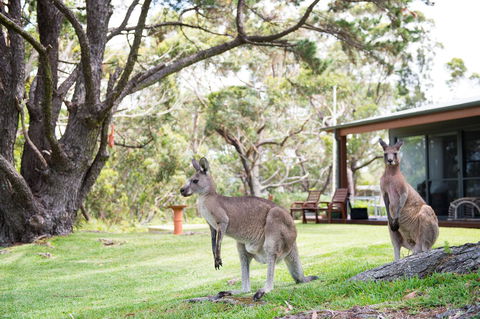 By The Beach B&B Self Contained Apartments - Accommodation Yamba 17