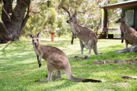 By The Beach B&B Self Contained Apartments - Accommodation Yamba 16