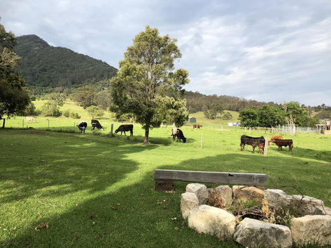 Arcadia - The Barn Cottage & Rosehill Cottage - Accommodation Yamba 29