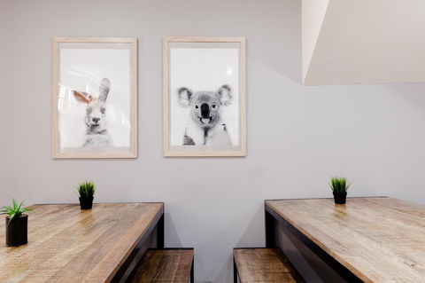 Mad Monkey Broadway - Accommodation Yamba 0