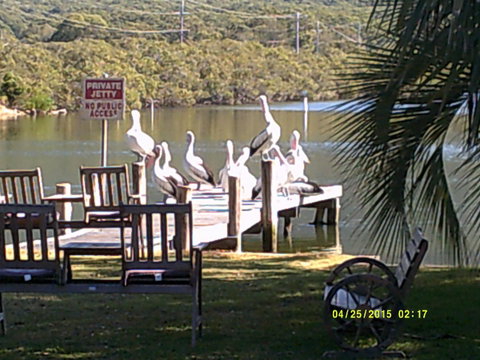 Pelican H2O One & Two Bedroom Apartments - Accommodation Yamba 9