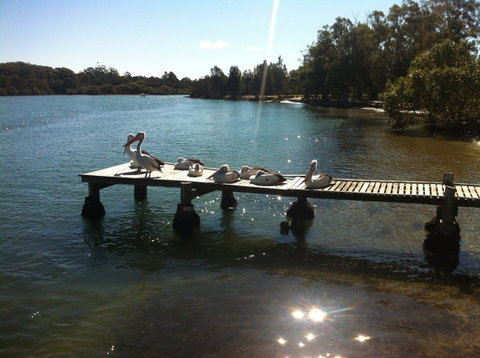 Pelican H2O One & Two Bedroom Apartments - Accommodation Yamba 5