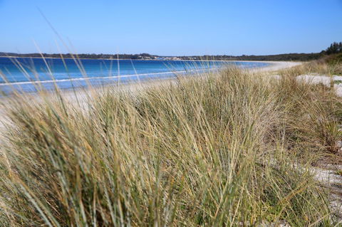 Sandy Toes Beach House Jervis Bay - 2min To Beach - Accommodation Yamba 23