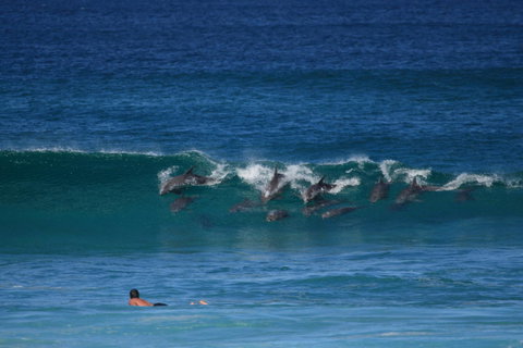 Bay Motel - Accommodation Yamba 4