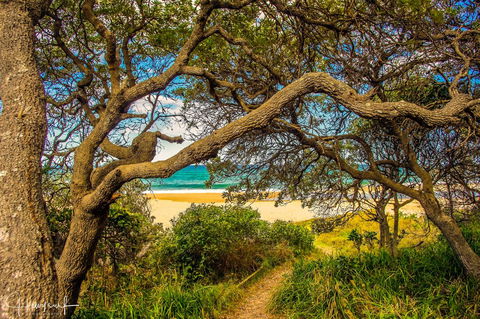 Valla's Beach House - Accommodation Yamba 2