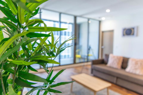 Sydney CBD Brand New Apartments With Hyde Park View - Accommodation Yamba 5