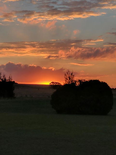 Madigan Wine Country Cottages - Accommodation Yamba 13