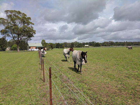 Madigan Wine Country Cottages - Accommodation Yamba 9
