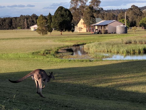 Madigan Wine Country Cottages - Accommodation Yamba 6