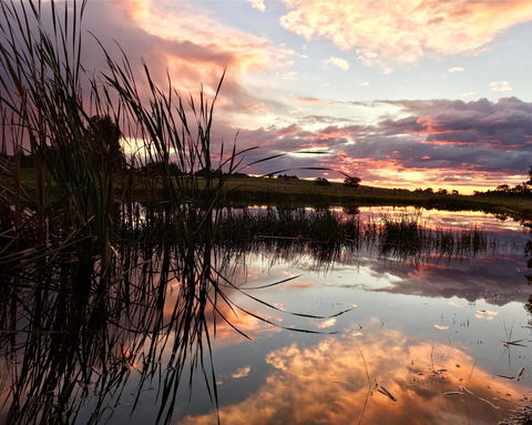 Madigan Wine Country Cottages - Accommodation Yamba 16
