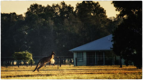 Madigan Wine Country Cottages - Accommodation Yamba 5