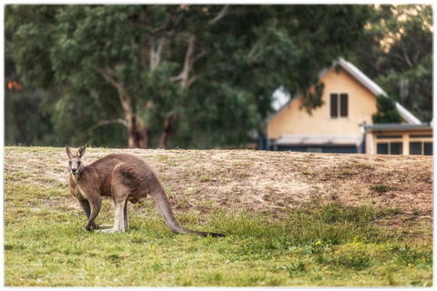 Madigan Wine Country Cottages - Accommodation Yamba 4