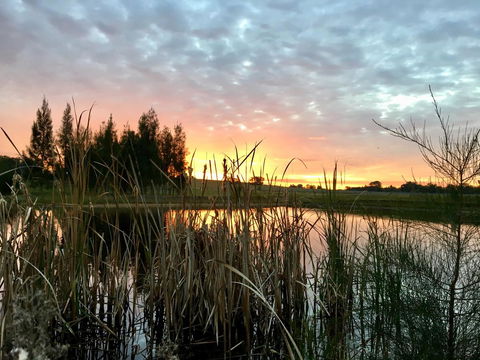 Madigan Wine Country Cottages - Accommodation Yamba 14