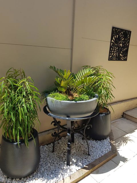 Private Room - Luxury Mosman Home - Accommodation Yamba 33