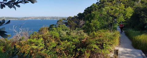 Private Room - Luxury Mosman Home - Accommodation Yamba 43