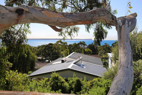 Seaglass - Stunning Views Of Jervis Bay - Accommodation Yamba 26