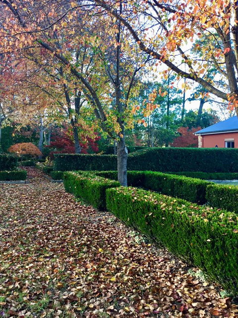 Chanticleer Gardens Barn Cottage With A Pool - Accommodation Yamba 37