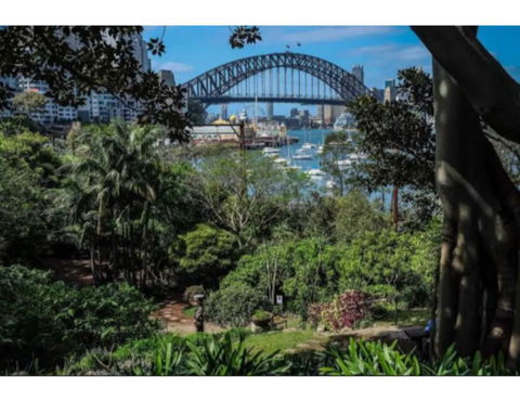 North Sydney Historic Whalers Cottage - Accommodation Yamba 12