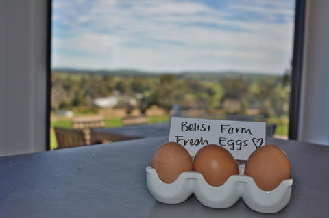 Belisi Farmstay Cottage - Accommodation Yamba 20