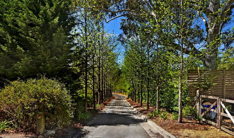 Bundanoon Lodge - Accommodation Yamba 21