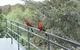 Bundanoon Lodge - thumb 7