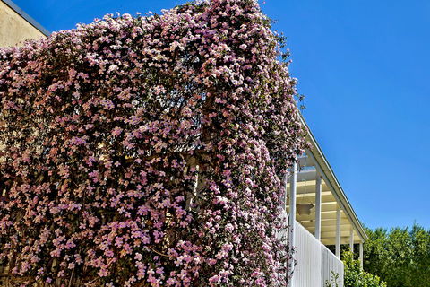 Bundanoon Lodge - Accommodation Yamba 13