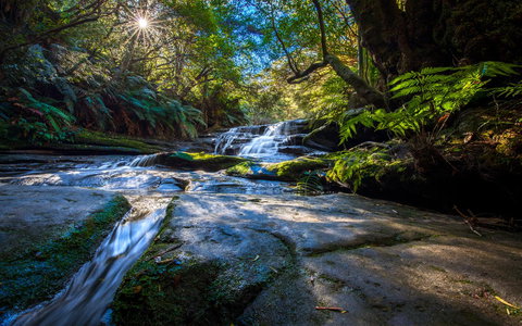 Sky Rider Motor Inn - Accommodation Yamba 6