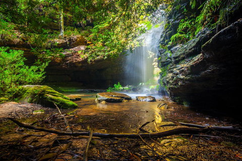 Sky Rider Motor Inn - Accommodation Yamba 23