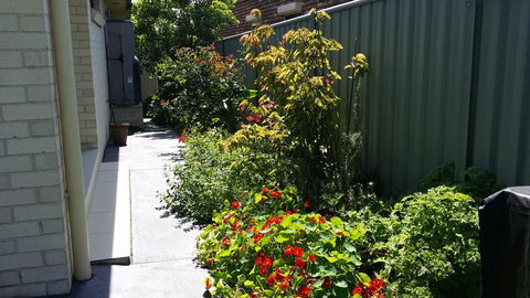 Sydney Amazing Holiday Home Bridal BnB - Accommodation Yamba 41