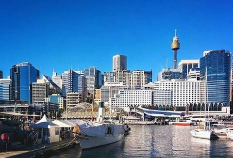 Sydney Star Terrace - Accommodation Yamba 4