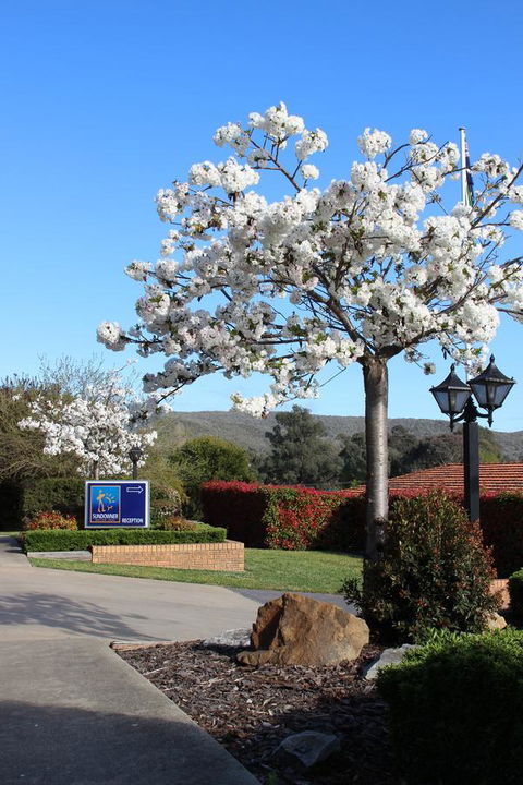 Hume Country Motor Inn - Accommodation Yamba 0