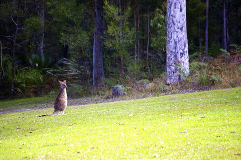 Jackson Ranch By Bannisters - Accommodation Yamba 31
