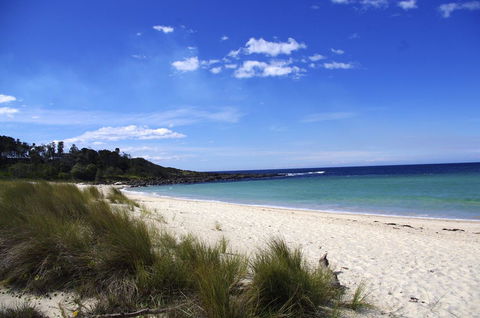 Jackson Ranch By Bannisters - Accommodation Yamba 32