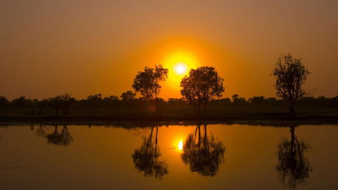 Mercure Kakadu Crocodile - Accommodation Yamba 26