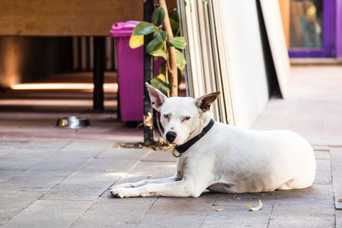 Jump Inn Alice Budget Accommodation - Accommodation Yamba 43