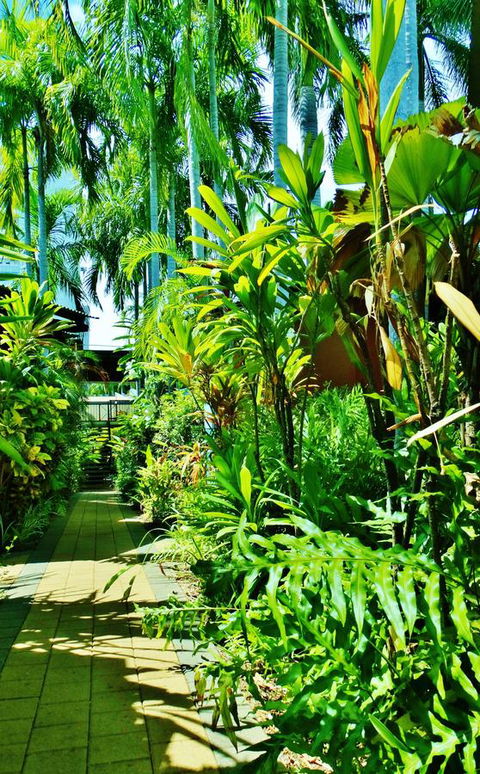 Palms City Resort - Accommodation Yamba 14