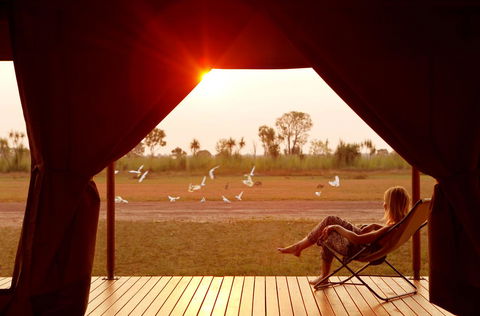 Wildman Wilderness Lodge - Accommodation Yamba 12