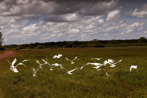 Wildman Wilderness Lodge - Accommodation Yamba 20