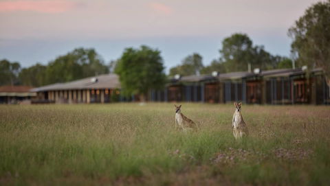 Wildman Wilderness Lodge - Accommodation Yamba 0